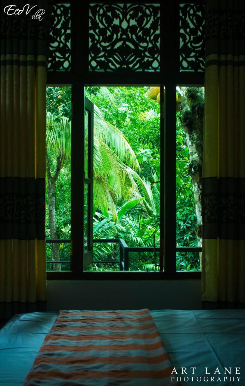Eco Villa - Sinharaja Deniyaya Ngoại thất bức ảnh